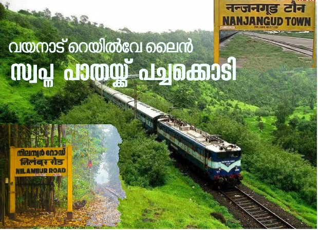 നിലമ്പൂർ-നഞ്ചൻകോട് റെയിൽവെ