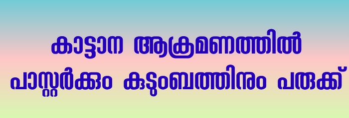 കാട്ടാന ആക്രമണം